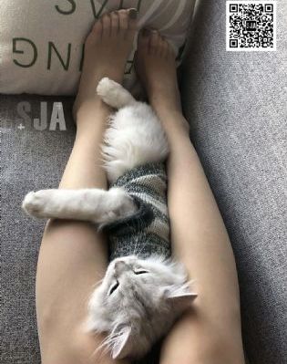 青春荷尔蒙 4_免费观看高清版